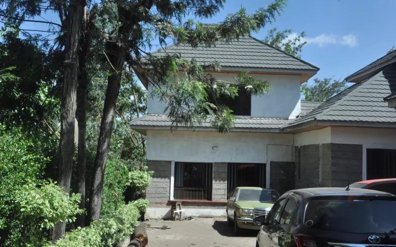 The IDIA College campus building among trees
